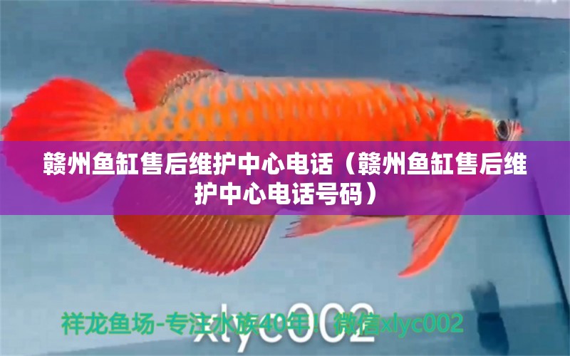 贛州魚(yú)缸售后維護(hù)中心電話（贛州魚(yú)缸售后維護(hù)中心電話號(hào)碼） 其他品牌魚(yú)缸