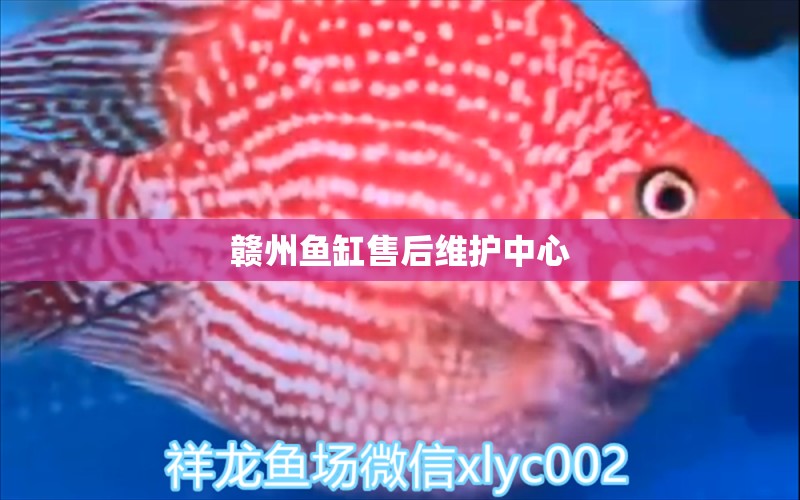 贛州魚缸售后維護(hù)中心 其他品牌魚缸