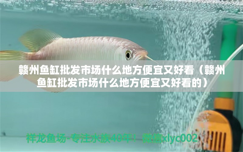 贛州魚缸批發(fā)市場(chǎng)什么地方便宜又好看（贛州魚缸批發(fā)市場(chǎng)什么地方便宜又好看的）