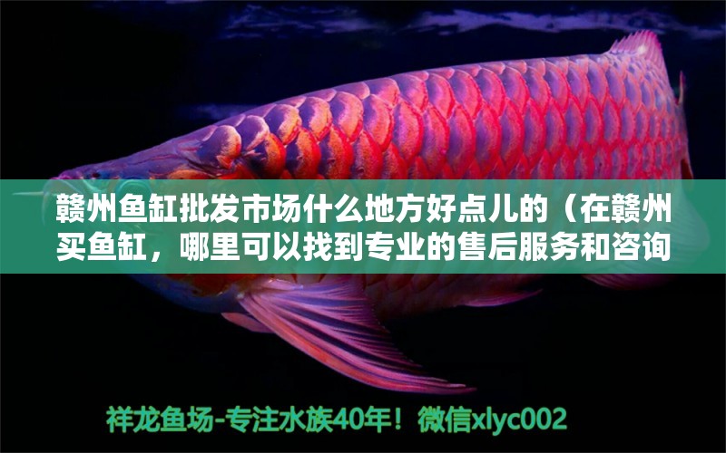 贛州魚缸批發(fā)市場(chǎng)什么地方好點(diǎn)兒的（在贛州買魚缸，哪里可以找到專業(yè)的售后服務(wù)和咨詢？） 水族問答 第2張