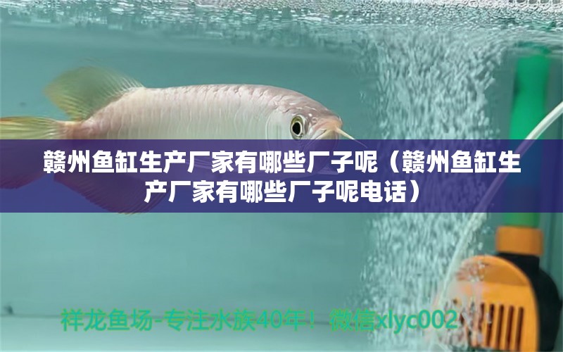 贛州魚(yú)缸生產(chǎn)廠家有哪些廠子呢（贛州魚(yú)缸生產(chǎn)廠家有哪些廠子呢電話） 祥龍水族醫(yī)院