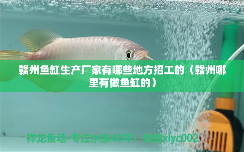 贛州魚缸生產(chǎn)廠家有哪些地方招工的（贛州哪里有做魚缸的）