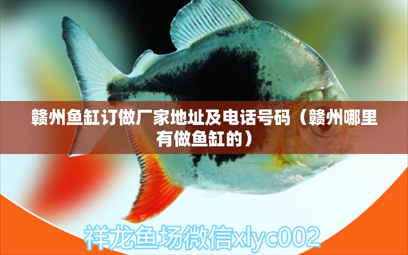 贛州魚缸訂做廠家地址及電話號(hào)碼（贛州哪里有做魚缸的）