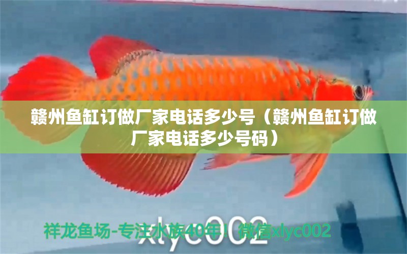 贛州魚缸訂做廠家電話多少號(hào)（贛州魚缸訂做廠家電話多少號(hào)碼） 量子養(yǎng)魚技術(shù)