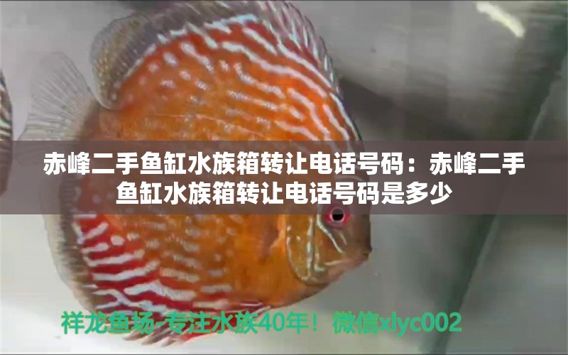 赤峰二手魚(yú)缸水族箱轉(zhuǎn)讓電話號(hào)碼：赤峰二手魚(yú)缸水族箱轉(zhuǎn)讓電話號(hào)碼是多少