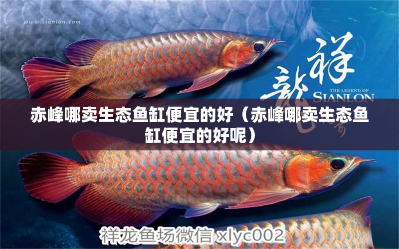 赤峰哪賣生態(tài)魚缸便宜的好（赤峰哪賣生態(tài)魚缸便宜的好呢）