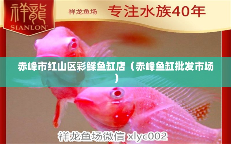 赤峰市紅山區(qū)彩鰈魚缸店（赤峰魚缸批發(fā)市場(chǎng)） 全國(guó)水族館企業(yè)名錄