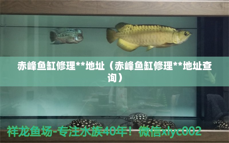 赤峰魚缸修理**地址（赤峰魚缸修理**地址查詢）