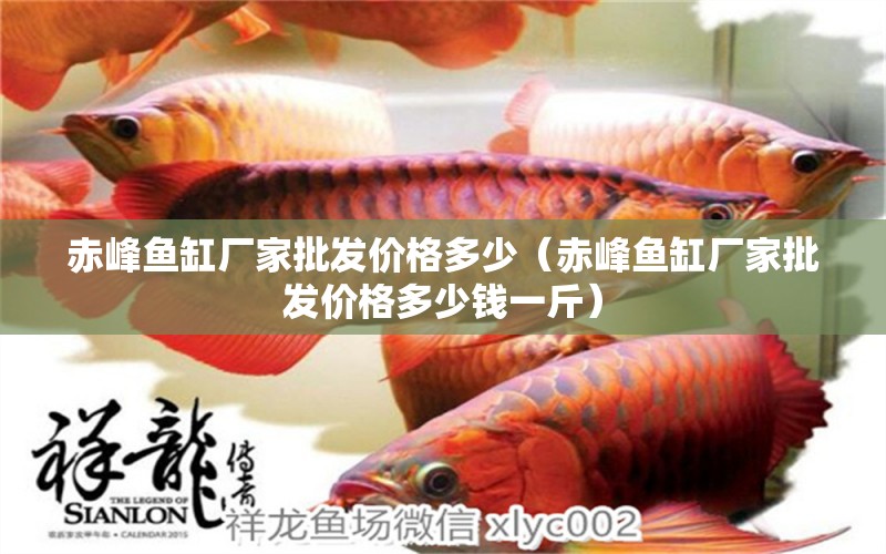 赤峰魚缸廠家批發(fā)價(jià)格多少（赤峰魚缸廠家批發(fā)價(jià)格多少錢一斤） 黑金魟魚