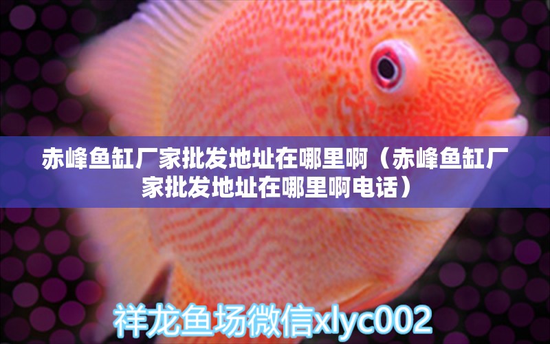 赤峰魚(yú)缸廠家批發(fā)地址在哪里?。ǔ喾弭~(yú)缸廠家批發(fā)地址在哪里啊電話）