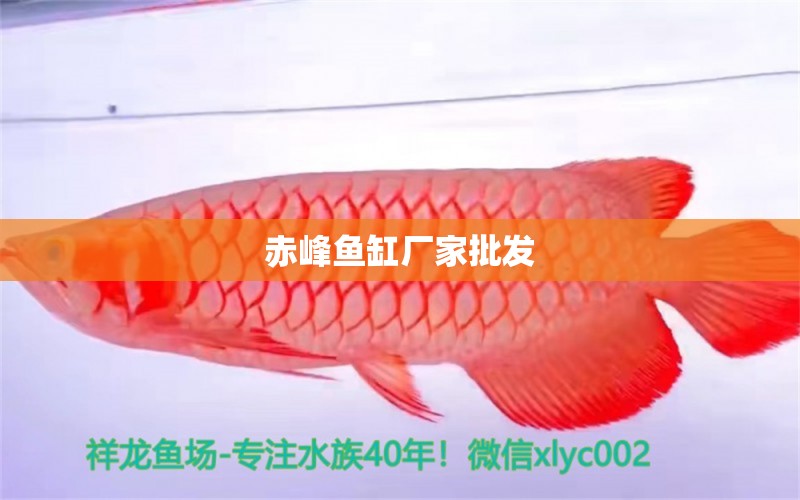 赤峰魚缸廠家批發(fā)