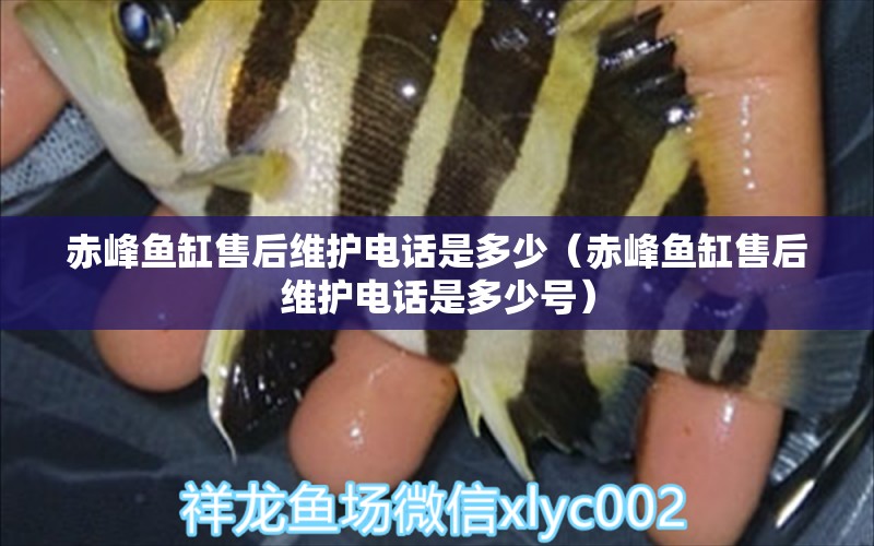 赤峰魚缸售后維護(hù)電話是多少（赤峰魚缸售后維護(hù)電話是多少號）