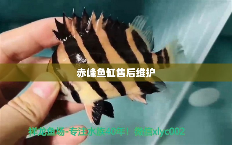 赤峰魚缸售后維護(hù)