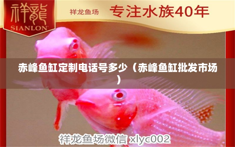 赤峰魚(yú)缸定制電話號(hào)多少（赤峰魚(yú)缸批發(fā)市場(chǎng)）