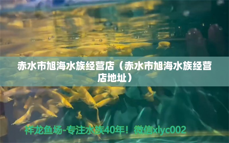 赤水市旭海水族經(jīng)營店（赤水市旭海水族經(jīng)營店地址） 全國水族館企業(yè)名錄