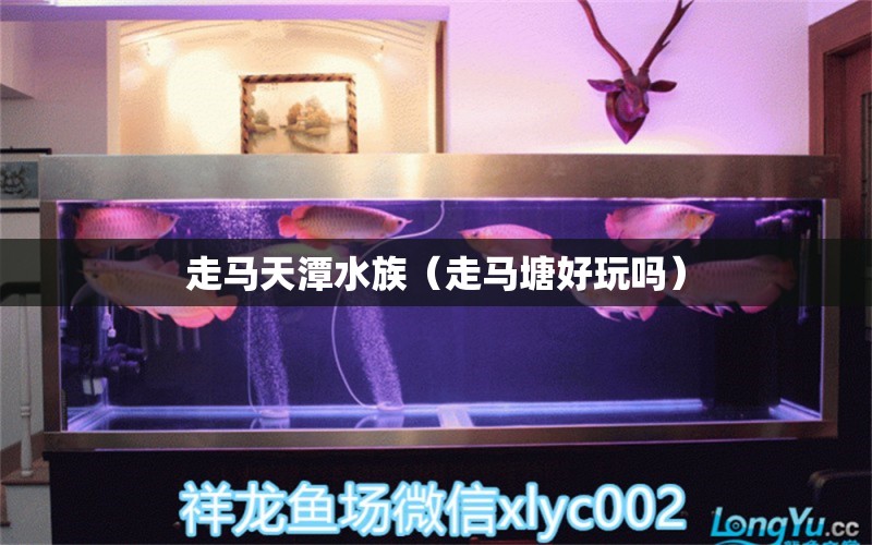 走馬天潭水族（走馬塘好玩嗎） 全國水族館企業(yè)名錄