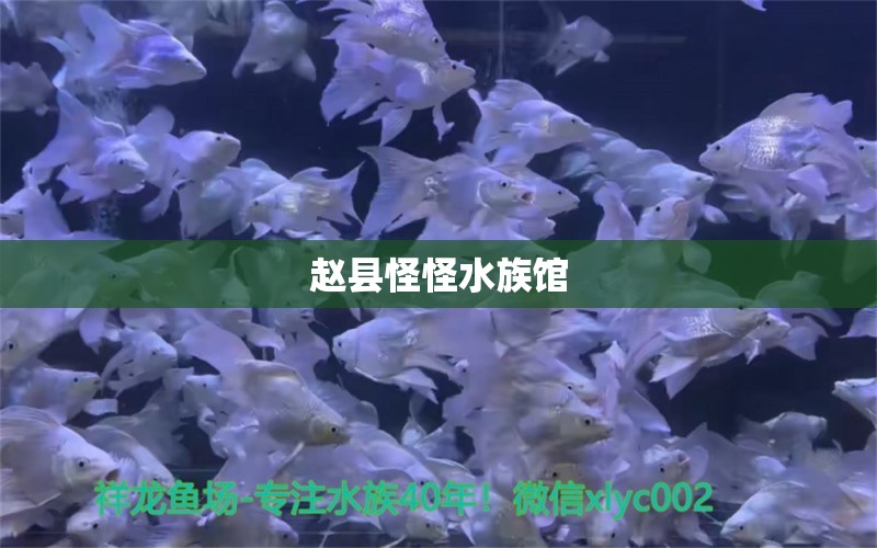 趙縣怪怪水族館