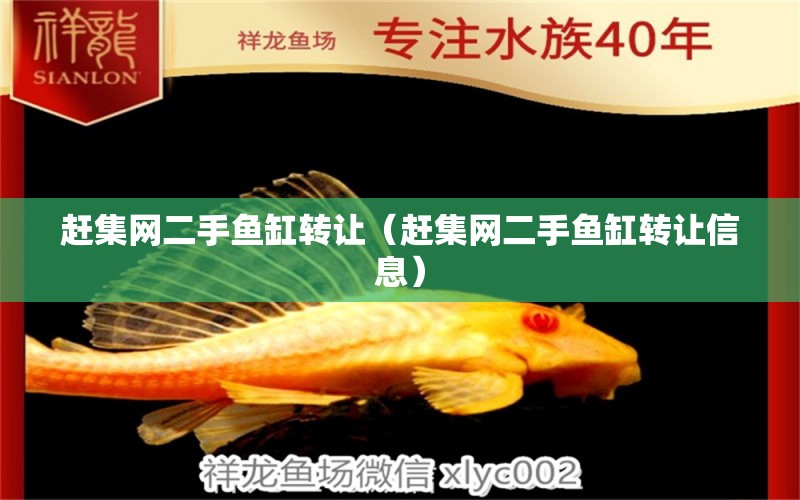 趕集網二手魚缸轉讓（趕集網二手魚缸轉讓信息）