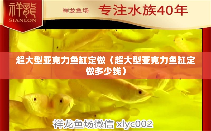 超大型亞克力魚缸定做（超大型亞克力魚缸定做多少錢） 其他品牌魚缸