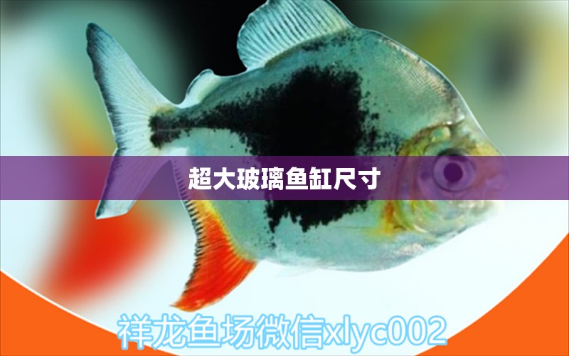 超大玻璃魚缸尺寸