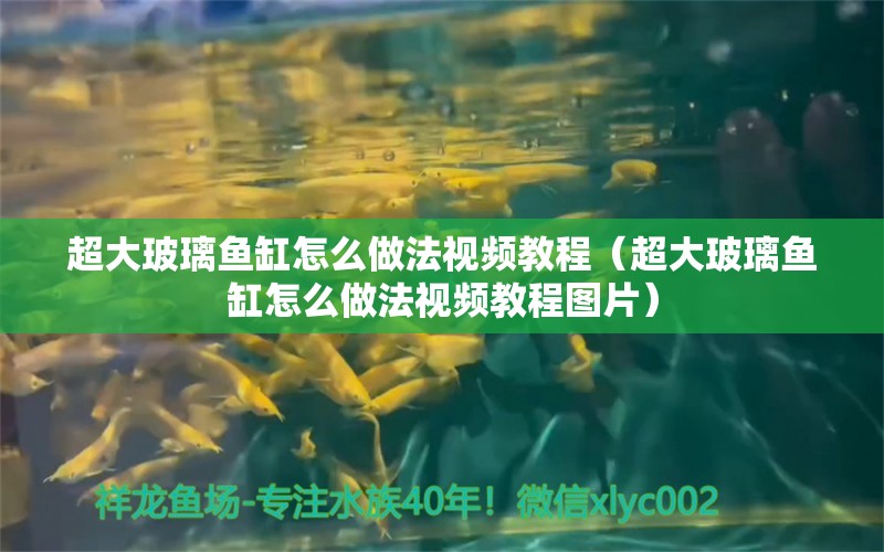 超大玻璃魚缸怎么做法視頻教程（超大玻璃魚缸怎么做法視頻教程圖片）