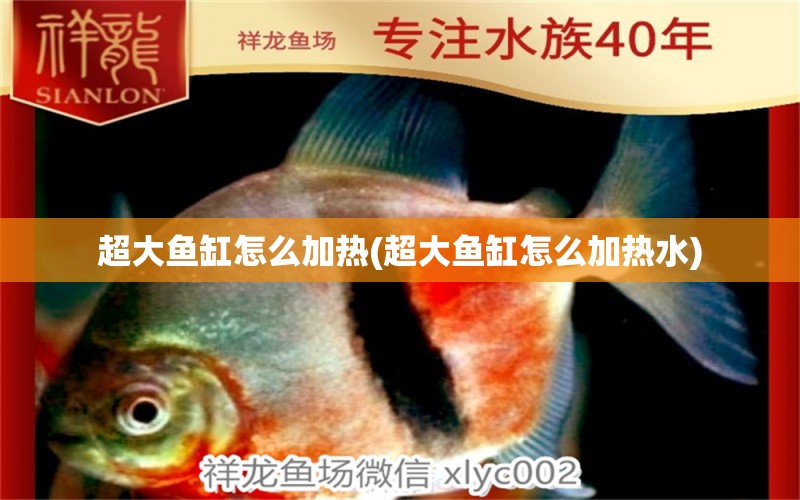 超大魚缸怎么加熱(超大魚缸怎么加熱水) 七彩神仙魚