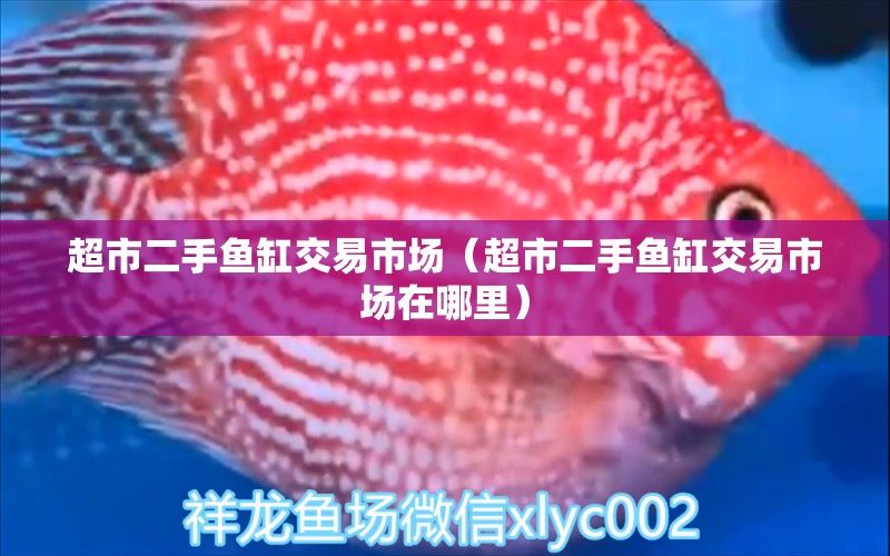 超市二手魚缸交易市場（超市二手魚缸交易市場在哪里）