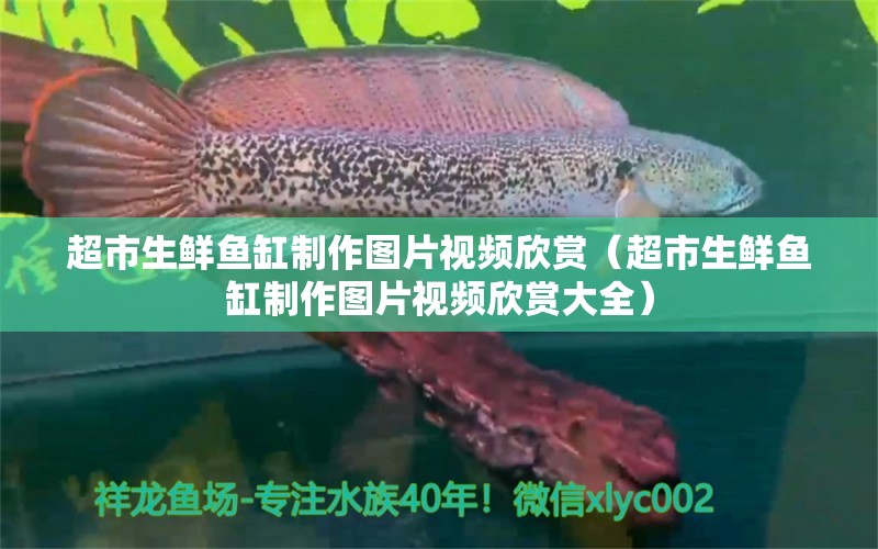 超市生鮮魚缸制作圖片視頻欣賞（超市生鮮魚缸制作圖片視頻欣賞大全） 祥龍水族醫(yī)院