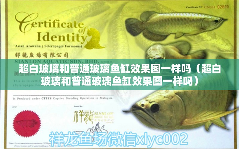 超白玻璃和普通玻璃魚(yú)缸效果圖一樣嗎（超白玻璃和普通玻璃魚(yú)缸效果圖一樣嗎）