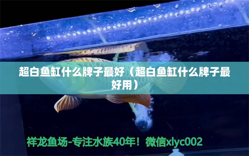 超白魚缸什么牌子最好（超白魚缸什么牌子最好用）