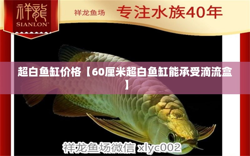 超白魚缸價格【60厘米超白魚缸能承受滴流盒】