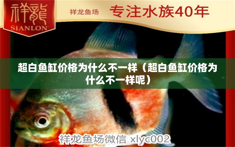 超白魚缸價(jià)格為什么不一樣（超白魚缸價(jià)格為什么不一樣呢） iwish愛唯希品牌魚缸