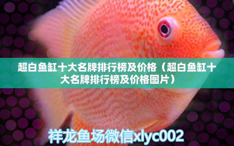 超白魚(yú)缸十大名牌排行榜及價(jià)格（超白魚(yú)缸十大名牌排行榜及價(jià)格圖片） iwish愛(ài)唯希品牌魚(yú)缸