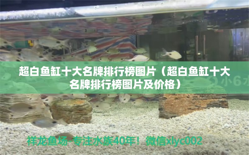 超白魚(yú)缸十大名牌排行榜圖片（超白魚(yú)缸十大名牌排行榜圖片及價(jià)格）