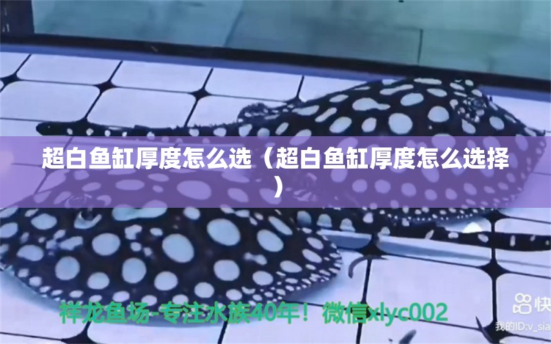 超白魚缸厚度怎么選（超白魚缸厚度怎么選擇） 大湖紅龍魚