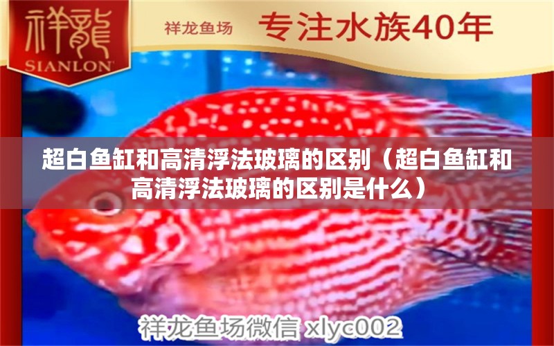 超白魚缸和高清浮法玻璃的區(qū)別（超白魚缸和高清浮法玻璃的區(qū)別是什么）