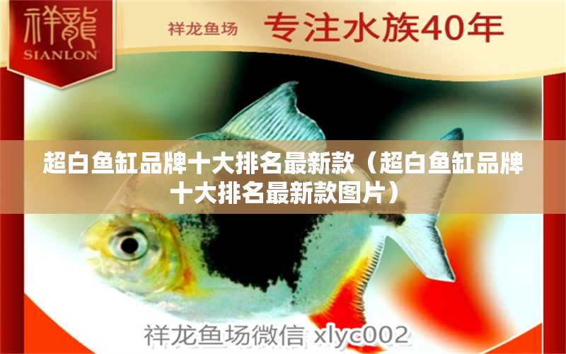 超白魚缸品牌十大排名最新款（超白魚缸品牌十大排名最新款圖片）