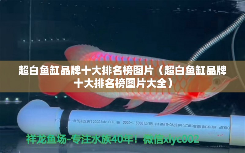 超白魚(yú)缸品牌十大排名榜圖片（超白魚(yú)缸品牌十大排名榜圖片大全） iwish愛(ài)唯希品牌魚(yú)缸