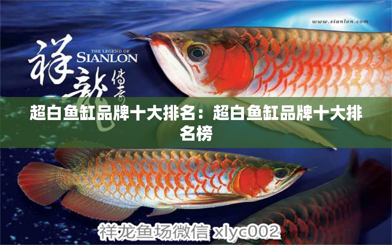 超白魚缸品牌十大排名：超白魚缸品牌十大排名榜 廣州龍魚批發(fā)市場