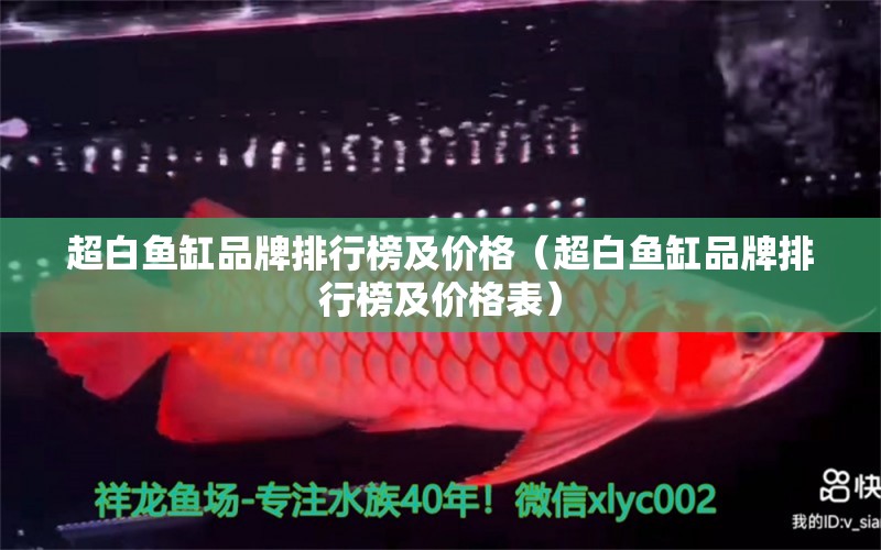 超白魚缸品牌排行榜及價(jià)格（超白魚缸品牌排行榜及價(jià)格表） 巨骨舌魚