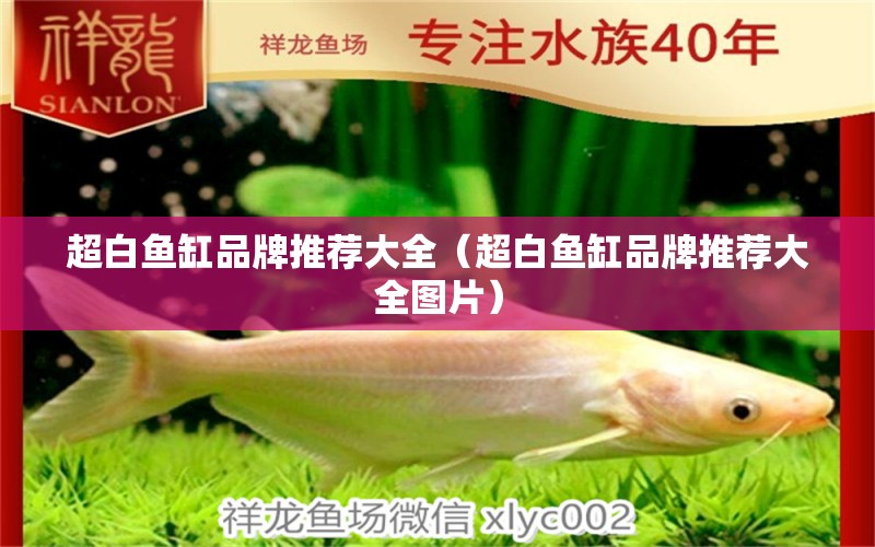 超白魚缸品牌推薦大全（超白魚缸品牌推薦大全圖片）