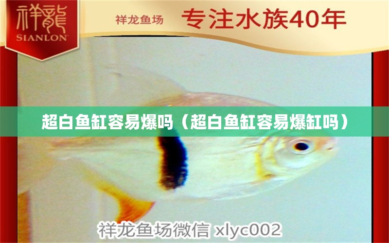 超白魚缸容易爆嗎（超白魚缸容易爆缸嗎） 祥龍水族醫(yī)院