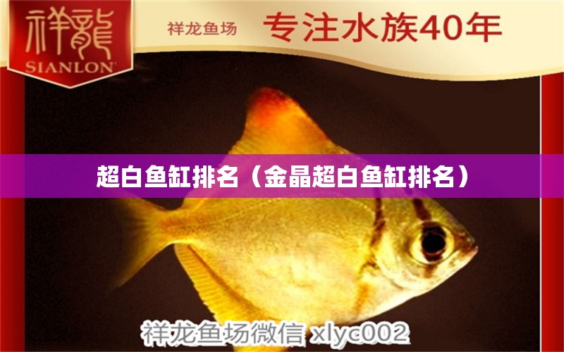 超白魚缸排名（金晶超白魚缸排名）