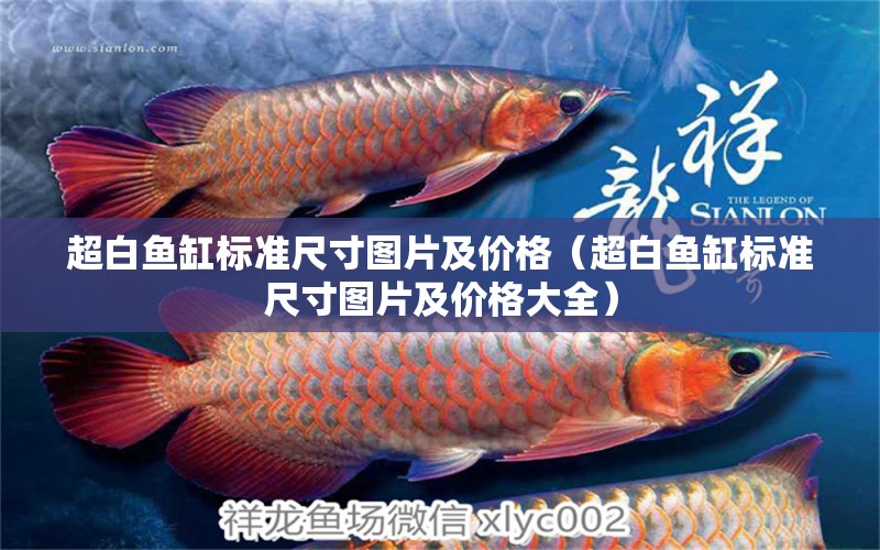 超白魚缸標準尺寸圖片及價格（超白魚缸標準尺寸圖片及價格大全） 觀賞魚水族批發(fā)市場