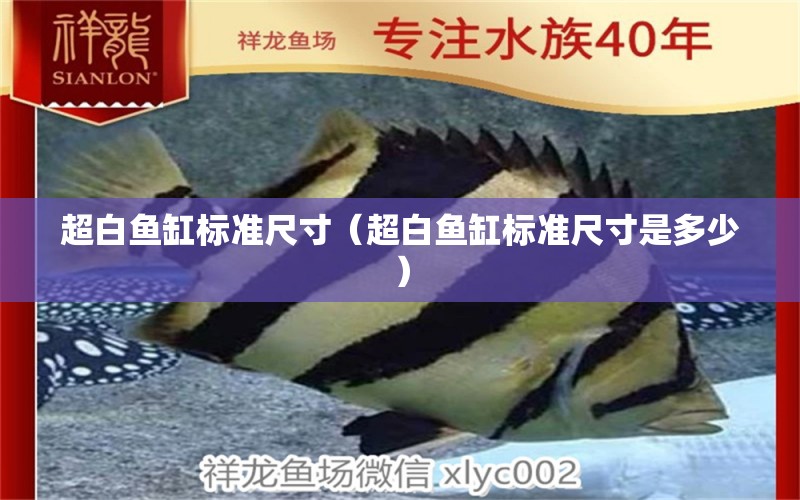 超白魚(yú)缸標(biāo)準(zhǔn)尺寸（超白魚(yú)缸標(biāo)準(zhǔn)尺寸是多少） iwish愛(ài)唯希品牌魚(yú)缸