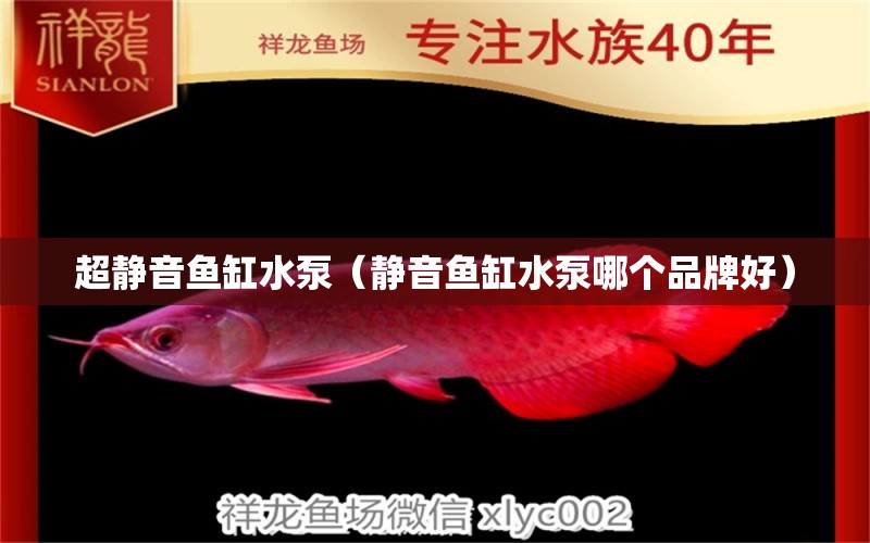 超靜音魚(yú)缸水泵（靜音魚(yú)缸水泵哪個(gè)品牌好）