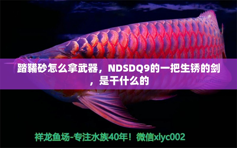 踏鞴砂怎么拿武器，NDSDQ9的一把生銹的劍，是干什么的