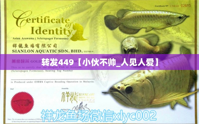 轉(zhuǎn)發(fā)449【小伙不帥_人見人愛】 觀賞魚論壇 第2張