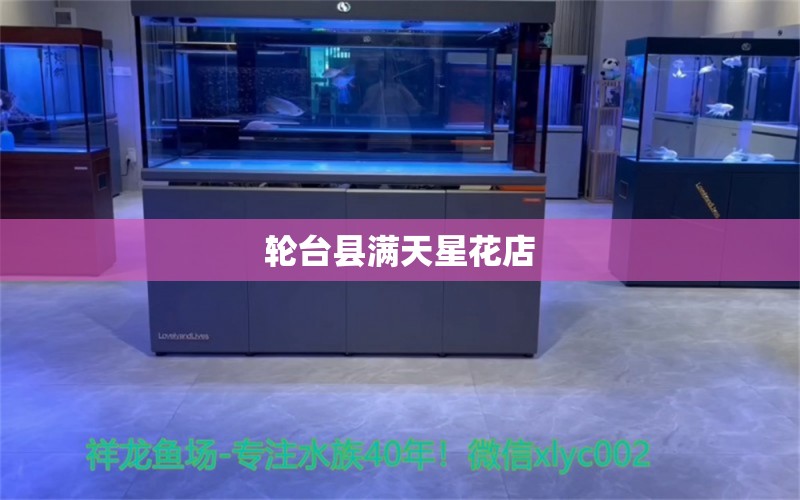 輪臺(tái)縣滿天星花店 全國水族館企業(yè)名錄