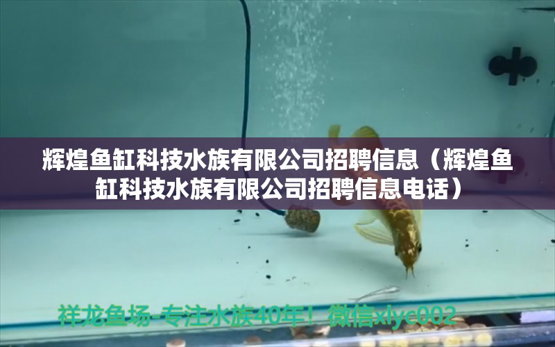 輝煌魚缸科技水族有限公司招聘信息（輝煌魚缸科技水族有限公司招聘信息電話）